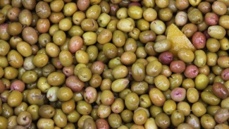 Yeşil Zeytin Sofraların Yeni Yıldızı: Azizbey'in Çeşitleriyle Lezzet Şöleni html