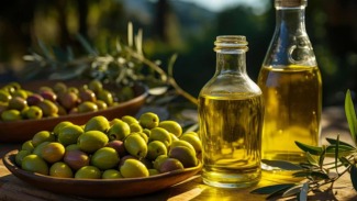 Zeytinyağı Seçim Rehberi: Natural Sızma mı, Erken Hasat mı? Azizbey İle Doğru Seçimi Yapın