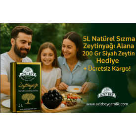 5 LT Naturel Sızma 200 gr Zeytin Hediye