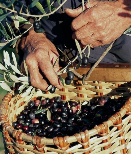 %100 DOĞAL, %100 LEZZET: AZİZBEY GELENEĞİ